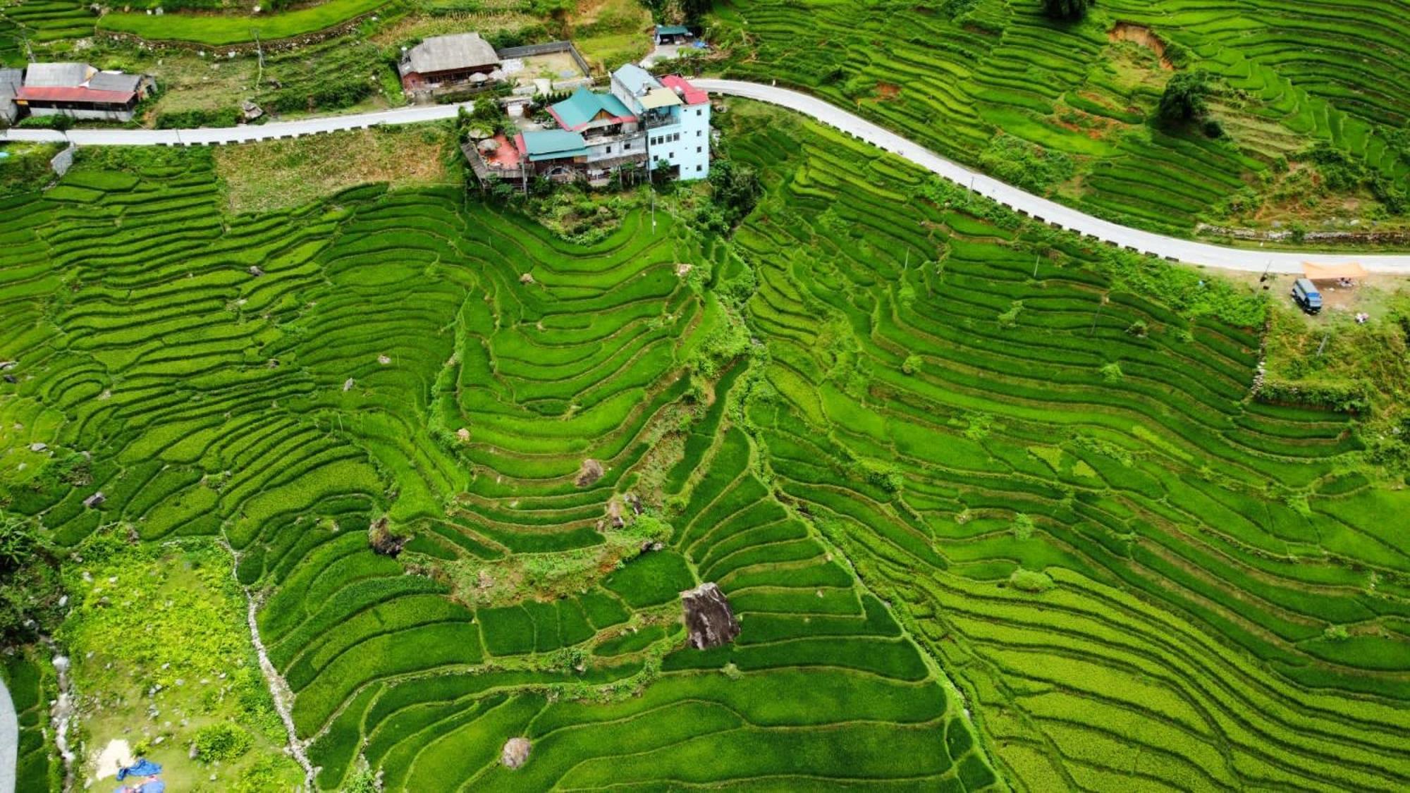 Hoa'S Homestay Sapa Экстерьер фото