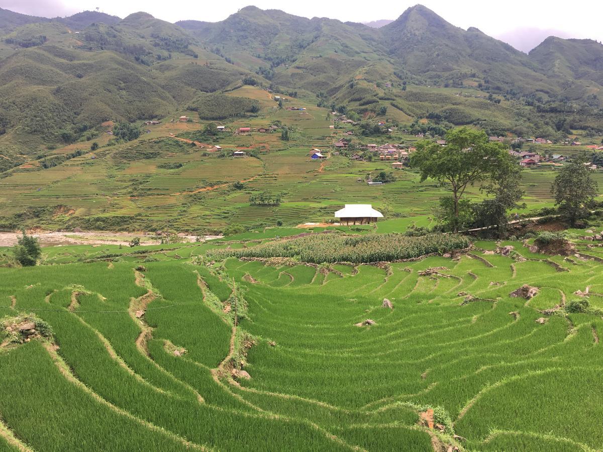 Hoa'S Homestay Sapa Экстерьер фото