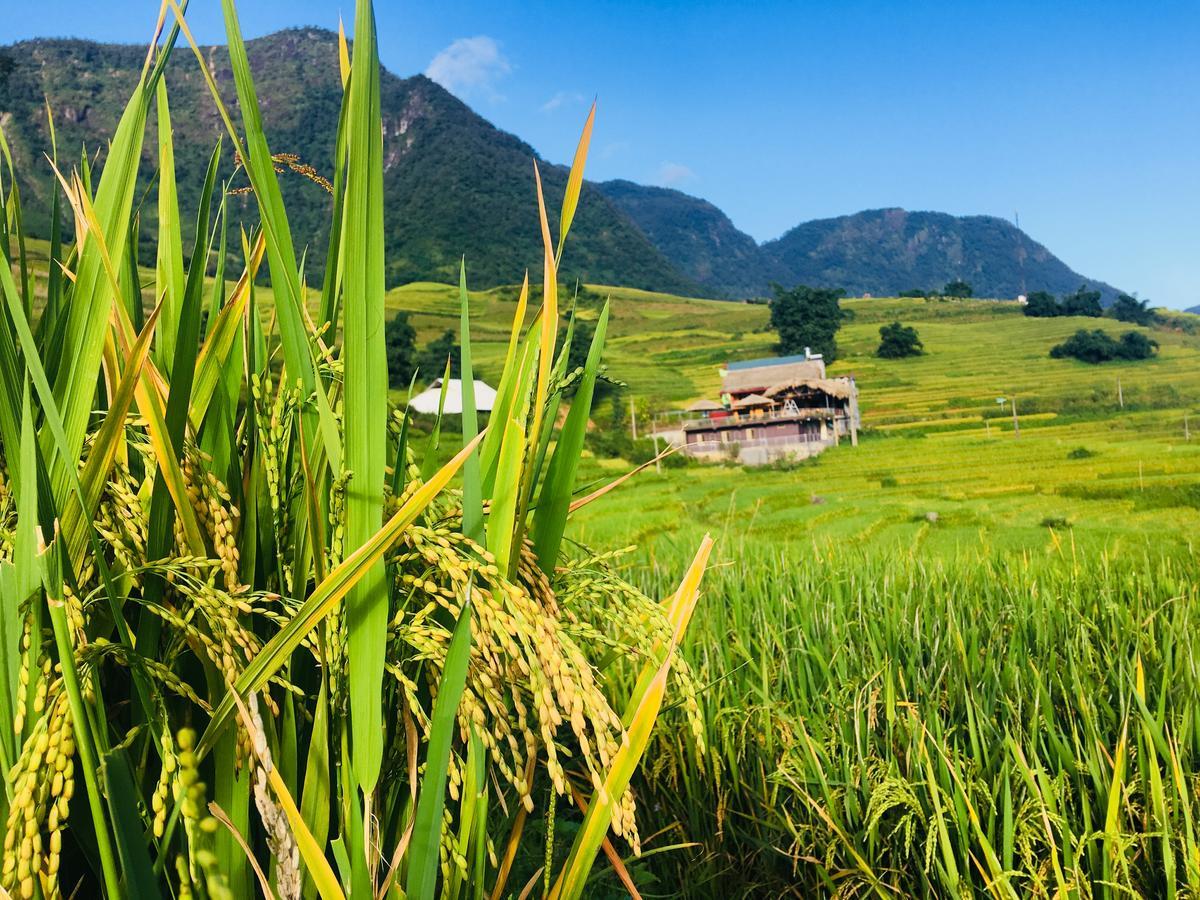 Hoa'S Homestay Sapa Экстерьер фото