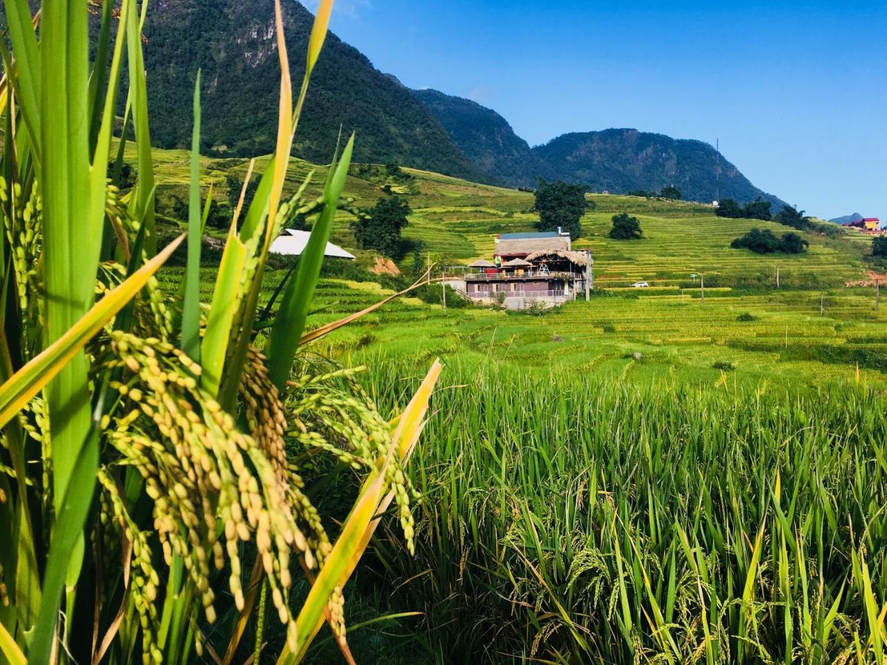 Hoa'S Homestay Sapa Экстерьер фото