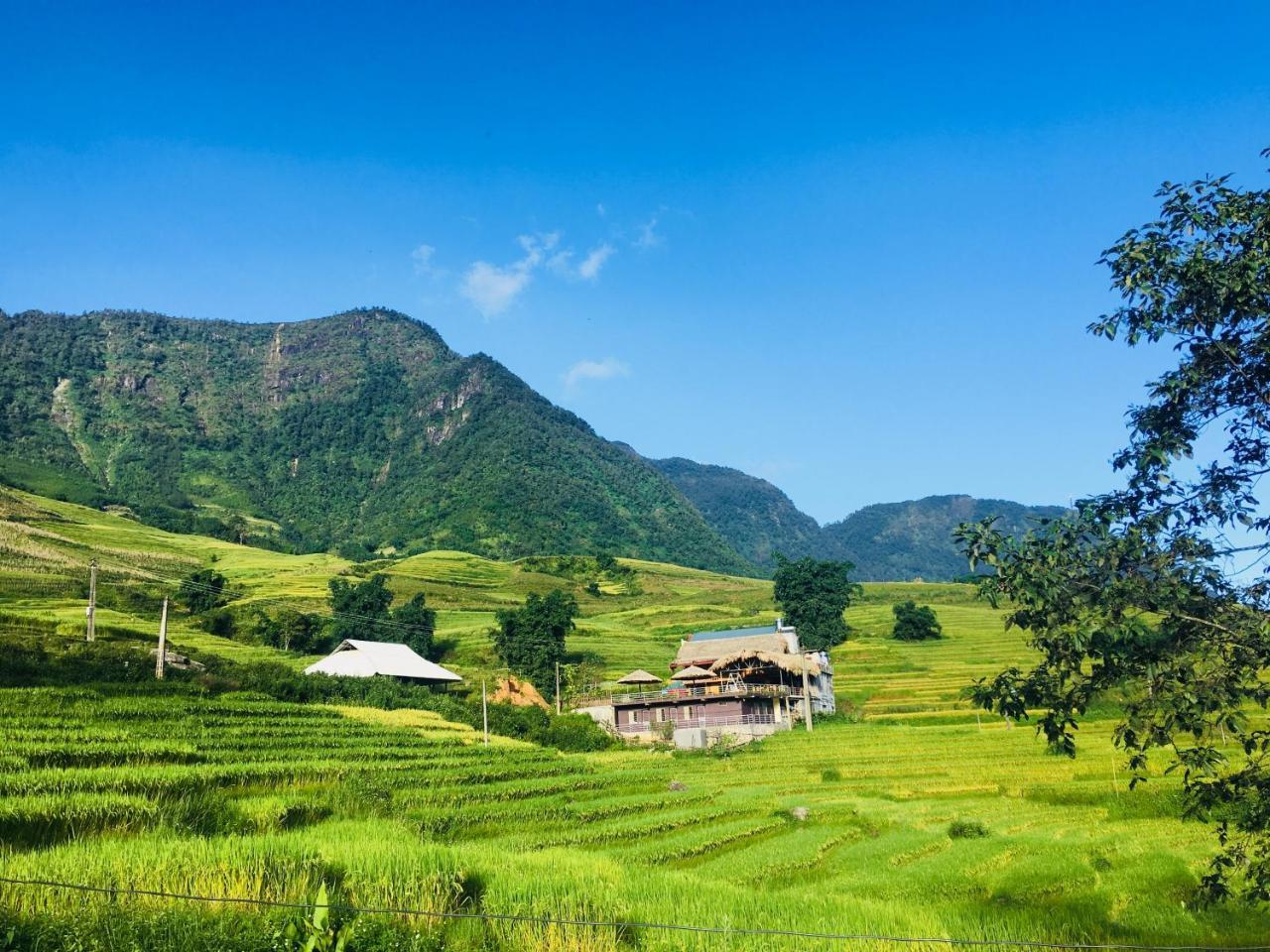 Hoa'S Homestay Sapa Экстерьер фото